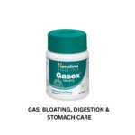 Gasex | 100Tablets | (Gas, Bloating, Digestion) | Himalaya